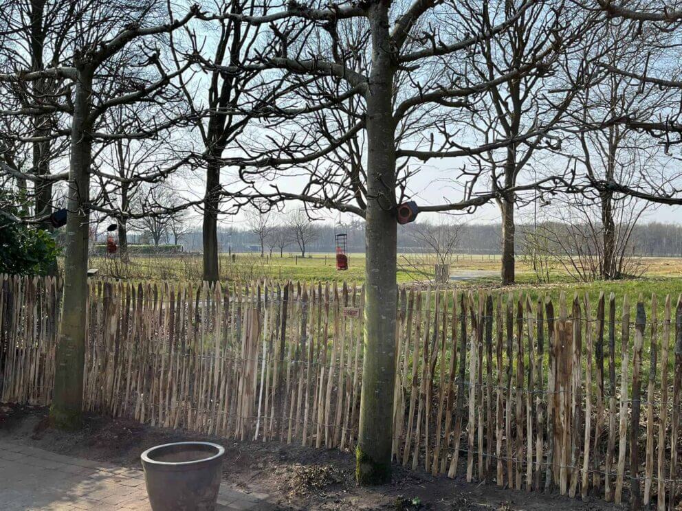 Clôture ganivielle française en bois de châtaignier de 120 cm de hauteur et avec un espacement de 2 cm. entre les lattes.