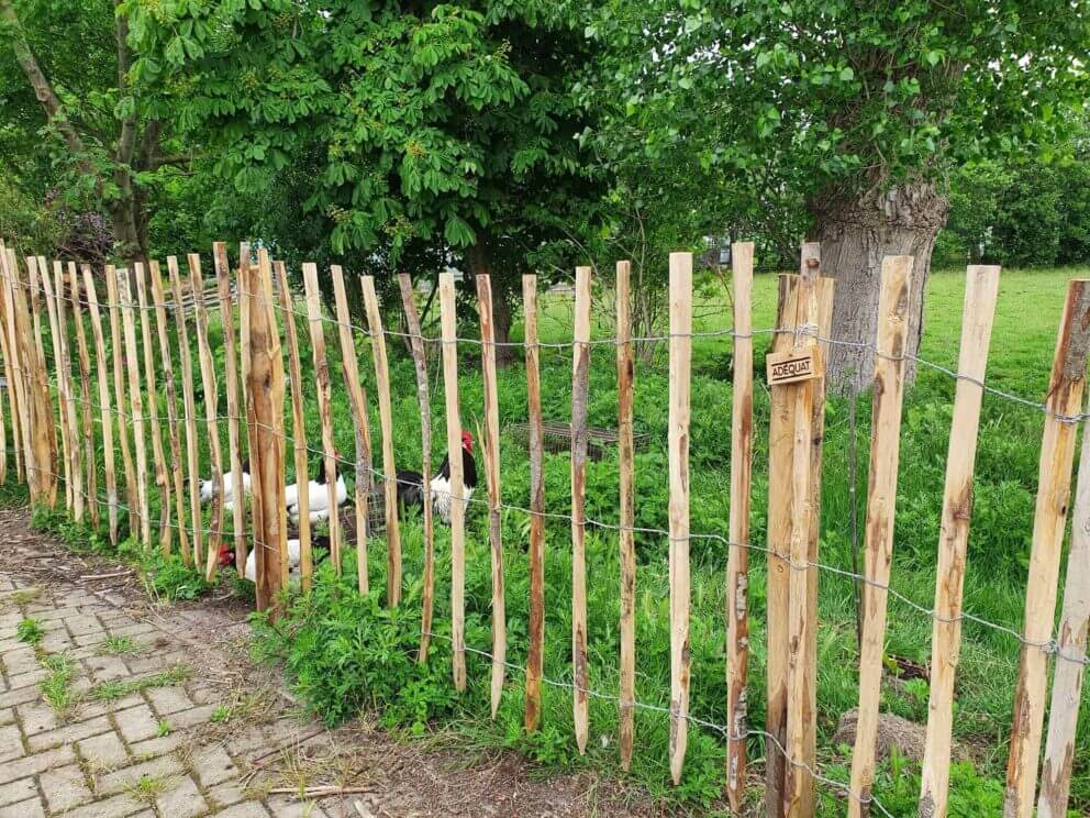 Clôture ganivielle française en bois de châtaignier de 120 cm de hauteur et avec un espacement de 10 cm. entre les lattes.