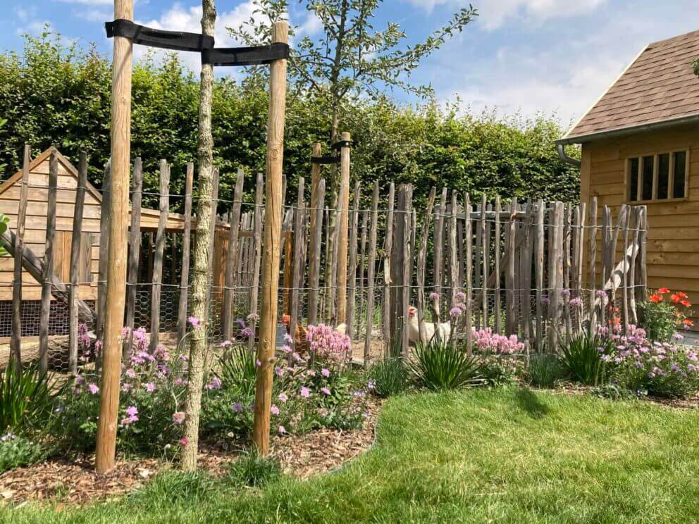 Clôture ganivielle française en bois de châtaignier de 120 cm de hauteur et avec un espacement de 6 cm. entre les lattes.