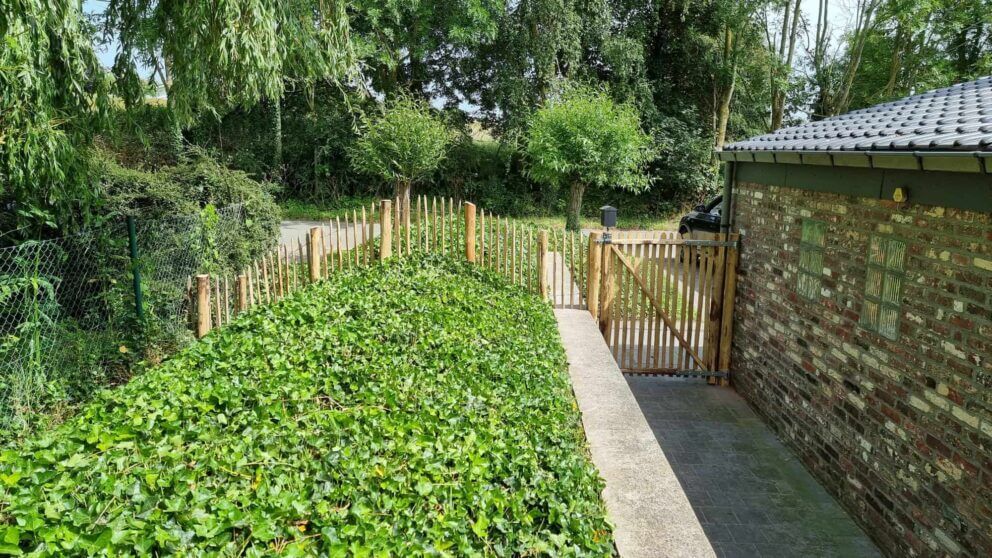 Clôture ganivielle française en bois de châtaignier de 120 cm de hauteur et avec un espacement de 8 cm. entre les lattes.