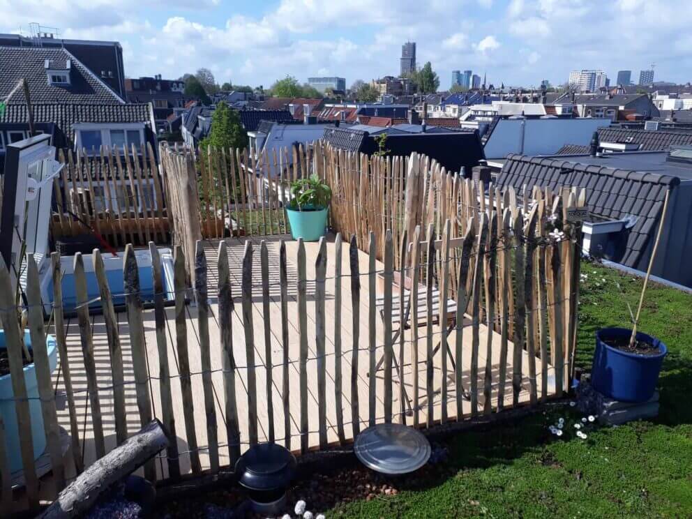 Clôture ganivielle française en bois de châtaignier de 100 cm de hauteur et avec un espacement de 4 cm. entre les lattes.