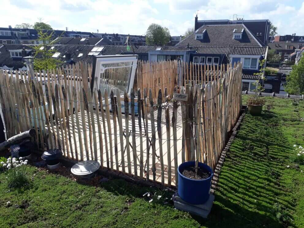 Clôture ganivielle française en bois de châtaignier de 100 cm de hauteur et avec un espacement de 4 cm. entre les lattes.