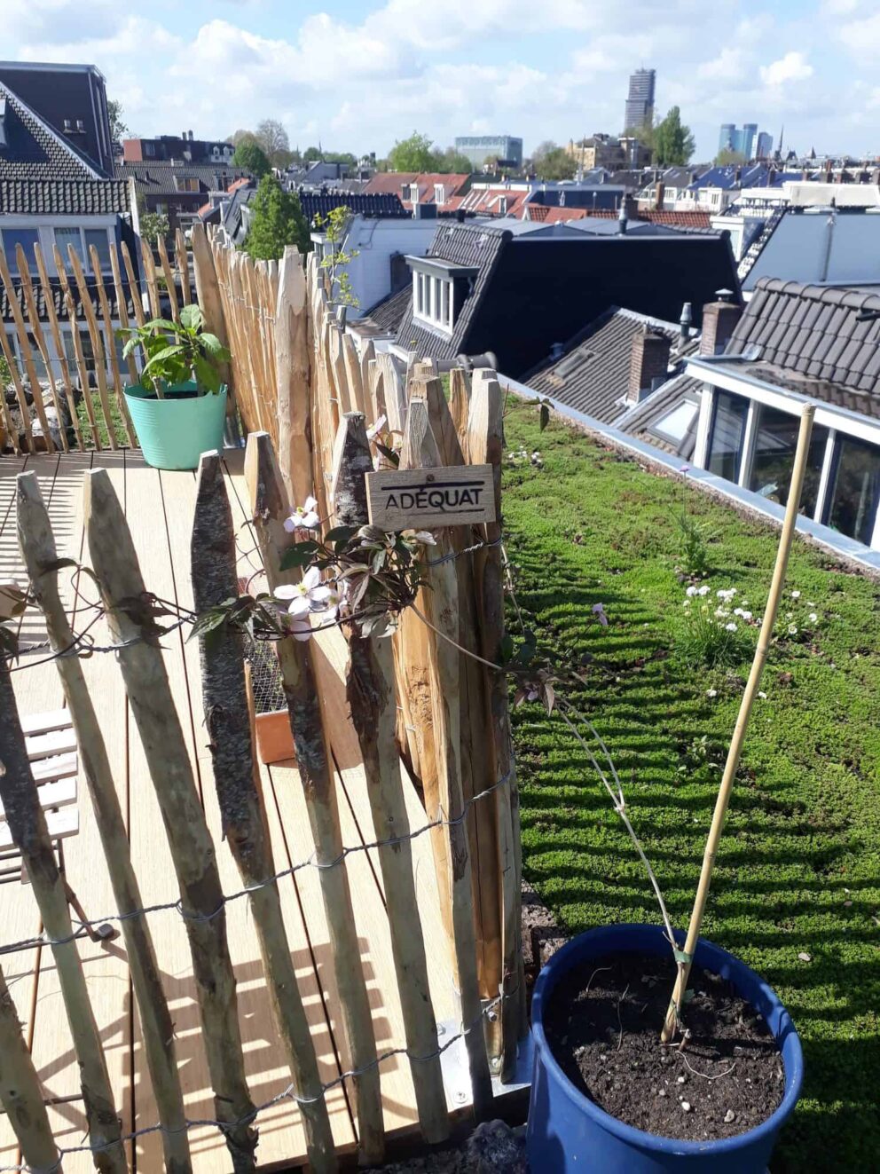 Clôture ganivielle française en bois de châtaignier de 100 cm de hauteur et avec un espacement de 4 cm. entre les lattes.