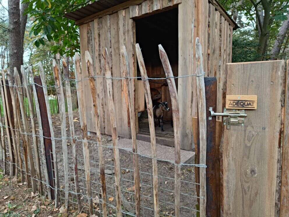 Clôture ganivielle française en bois de châtaignier de 120 cm de hauteur et avec un espacement de 10 cm. entre les lattes.