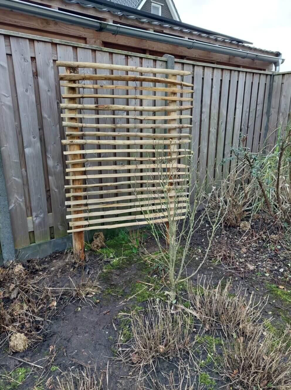 Clôture ganivielle française en bois de châtaignier de 120 cm de hauteur et avec un espacement de 4 cm. entre les lattes.