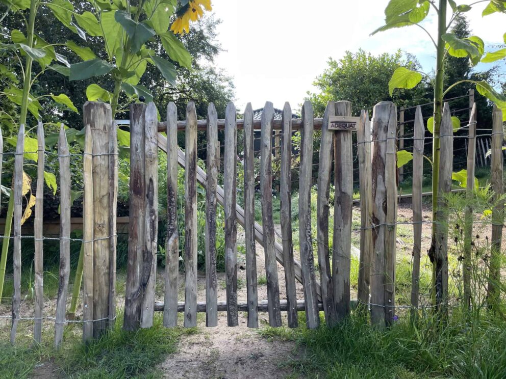 Clôture ganivielle française en bois de châtaignier de 100 cm de hauteur et avec un espacement de 6 cm. entre les lattes.