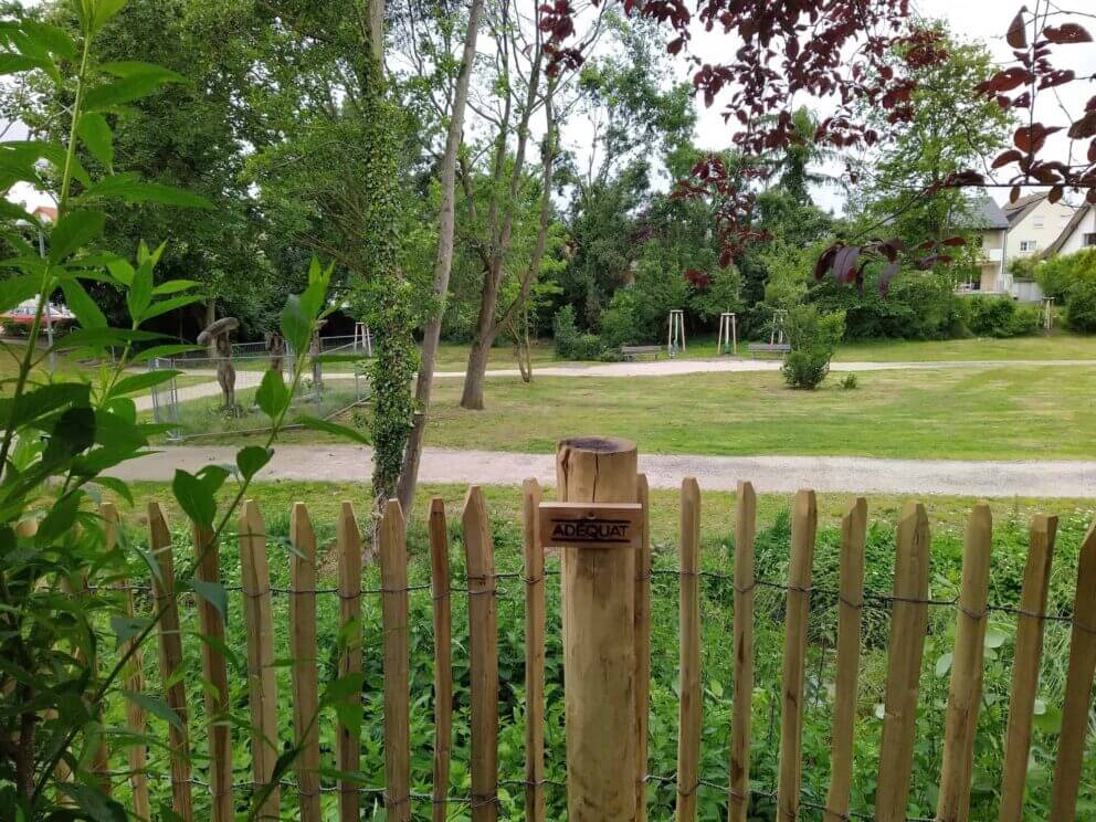 Clôture ganivielle française en bois de châtaignier de 100 cm de hauteur et avec un espacement de 4 cm. entre les lattes. Avec piquet robinier.