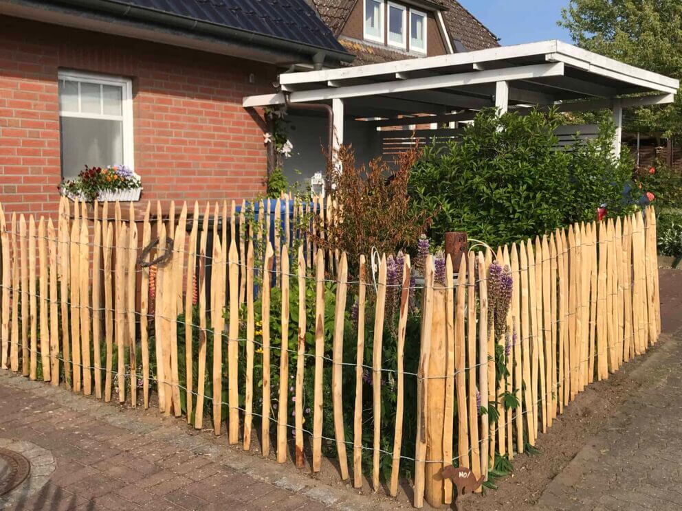 Clôture ganivielle française en bois de châtaignier de 100 cm de hauteur et avec un espacement de 6 cm. entre les lattes.