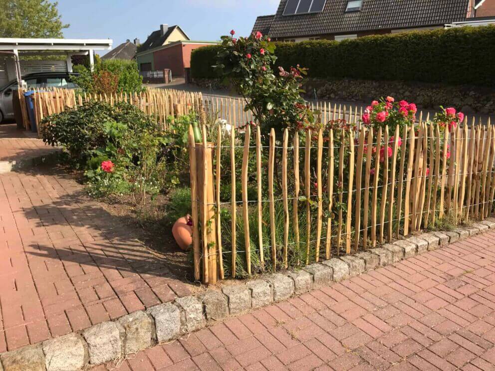 Clôture ganivielle française en bois de châtaignier de 100 cm de hauteur et avec un espacement de 6 cm. entre les lattes.