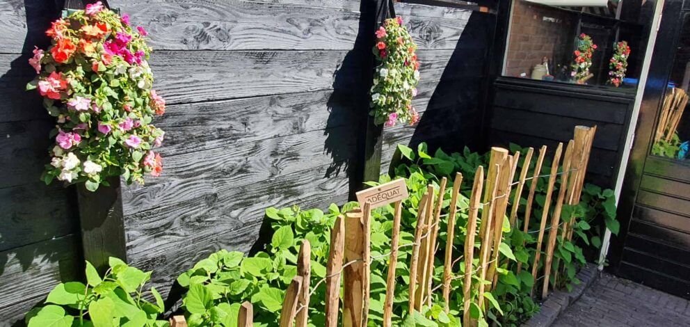 Clôture ganivielle française en bois de châtaignier de 100 cm de hauteur et avec un espacement de 8 cm. entre les lattes.