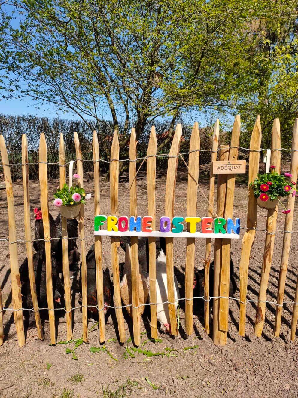 Clôture ganivielle française en bois de châtaignier de 100 cm de hauteur et avec un espacement de 4 cm. entre les lattes.