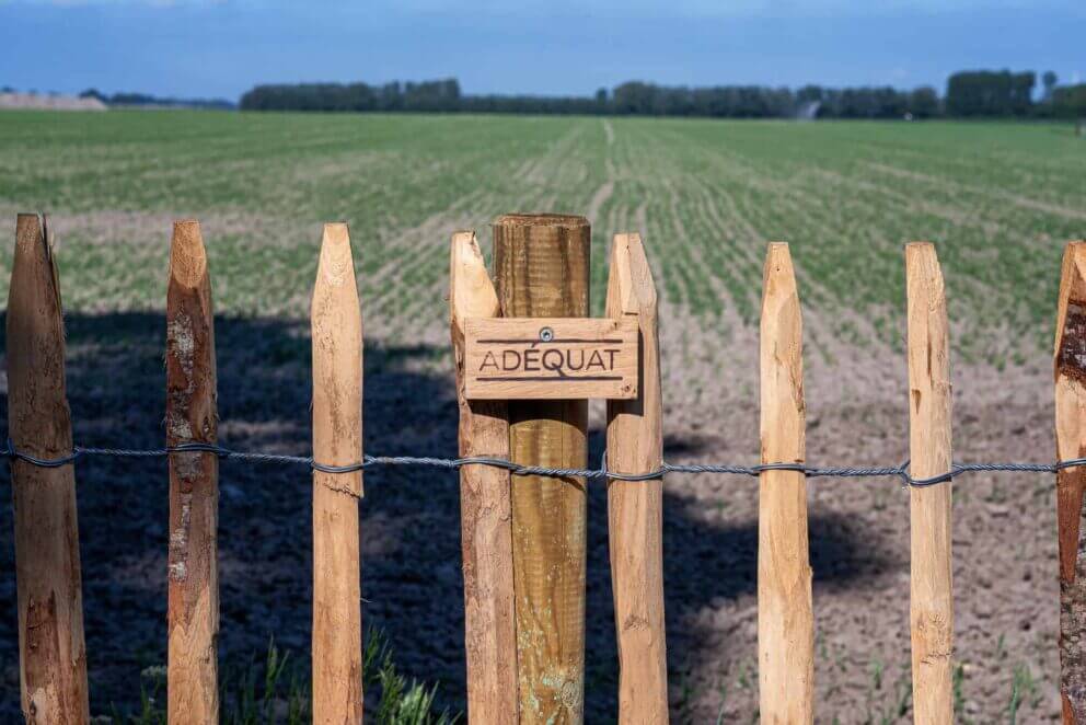 Clôture ganivielle française en bois de châtaignier de 100 cm de hauteur et avec un espacement de 8 cm. entre les lattes.