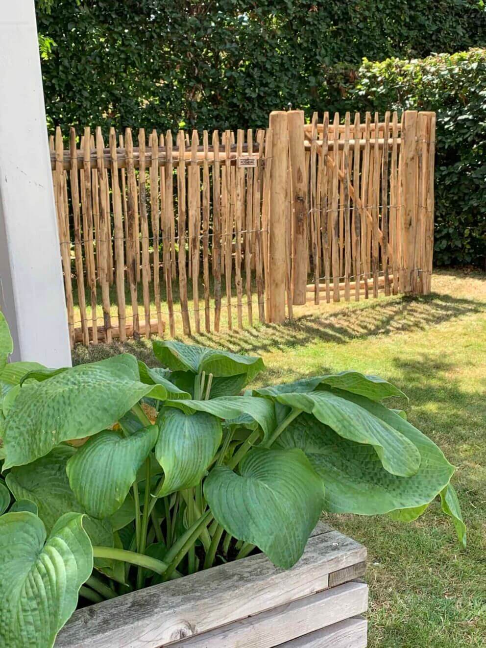 Clôture ganivielle française en bois de châtaignier de 120 cm de hauteur et avec un espacement de 4 cm. entre les lattes.