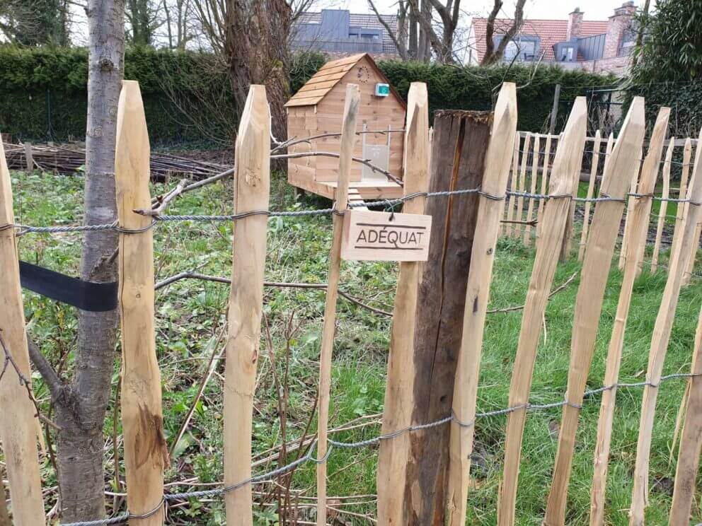 Clôture ganivielle française en bois de châtaignier de 100 cm de hauteur et avec un espacement de 8 cm. entre les lattes. Autour du poulailler.