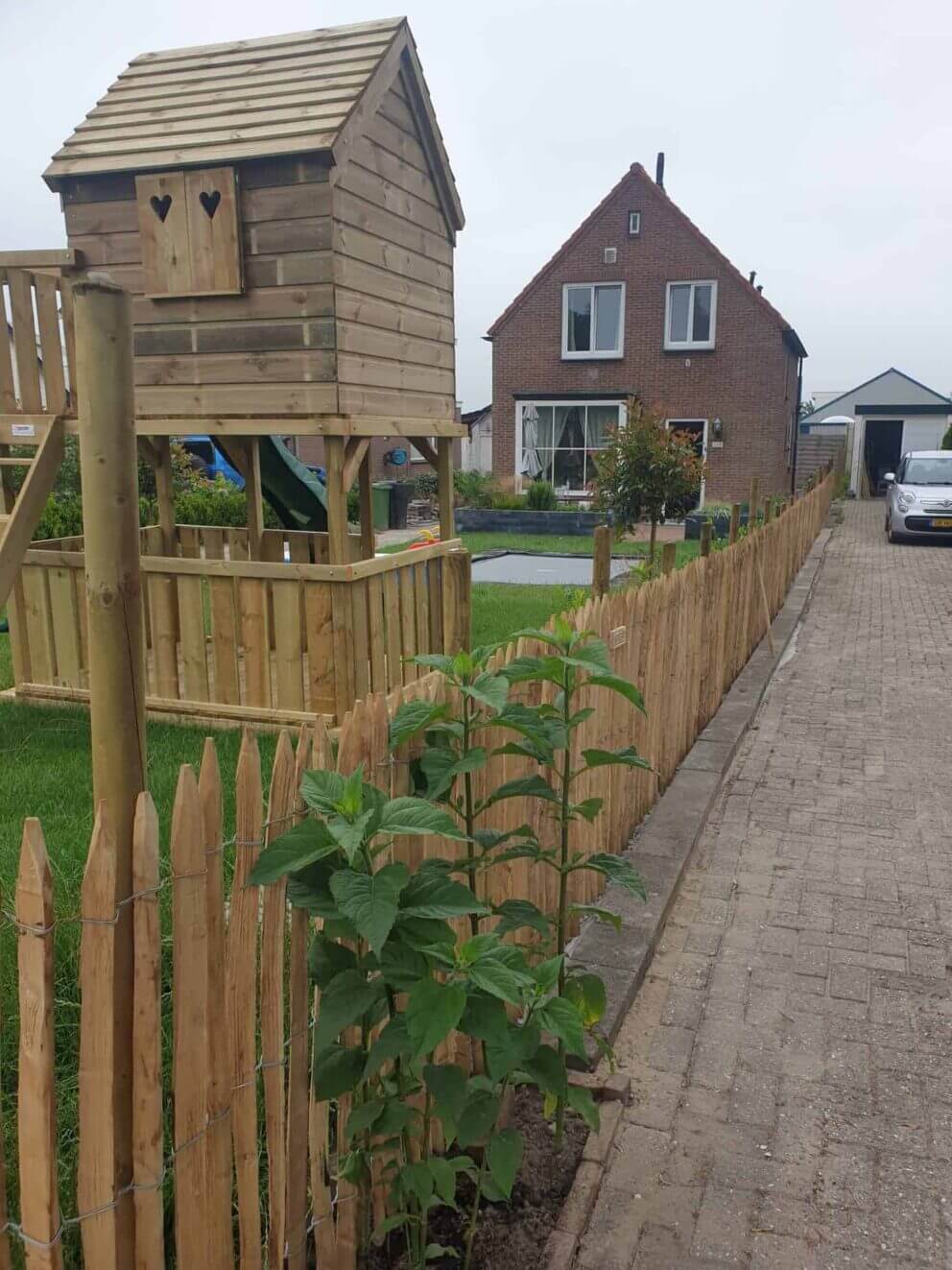 Clôture ganivielle française en bois de châtaignier de 100 cm de hauteur et avec un espacement de 2 cm. entre les lattes.