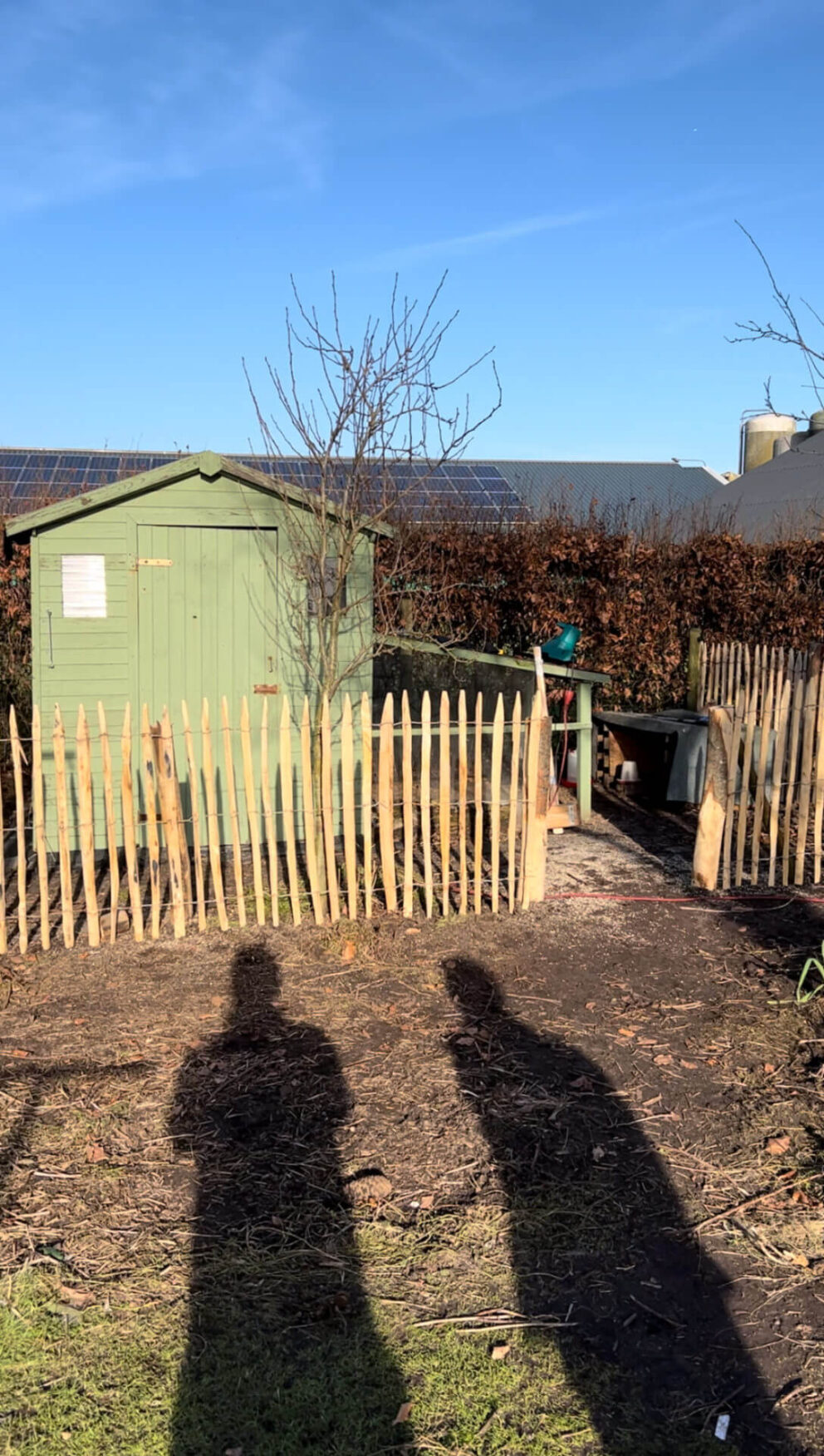 Clôture ganivielle française en bois de châtaignier de 100 cm de hauteur et avec un espacement de 4 cm. entre les lattes.