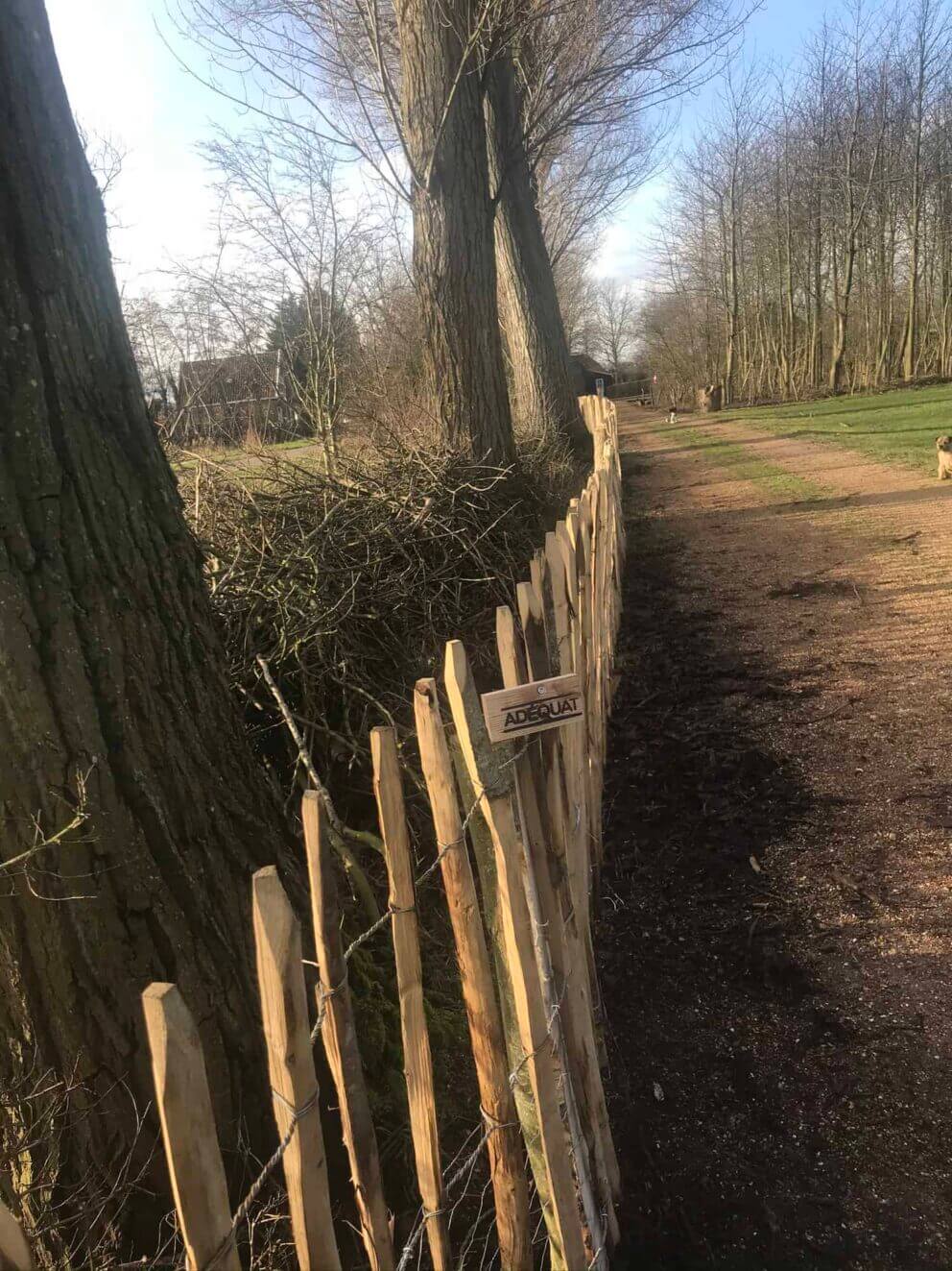 Clôture ganivielle française en bois de châtaignier de 100 cm de hauteur et avec un espacement de 10 cm. entre les lattes.