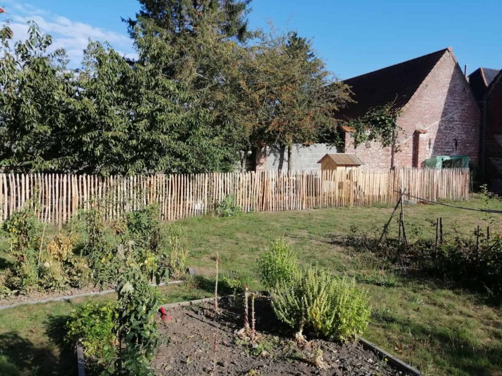 Clôture ganivielle française en bois de châtaignier de 120 cm de hauteur et avec un espacement de 4 cm. entre les lattes.