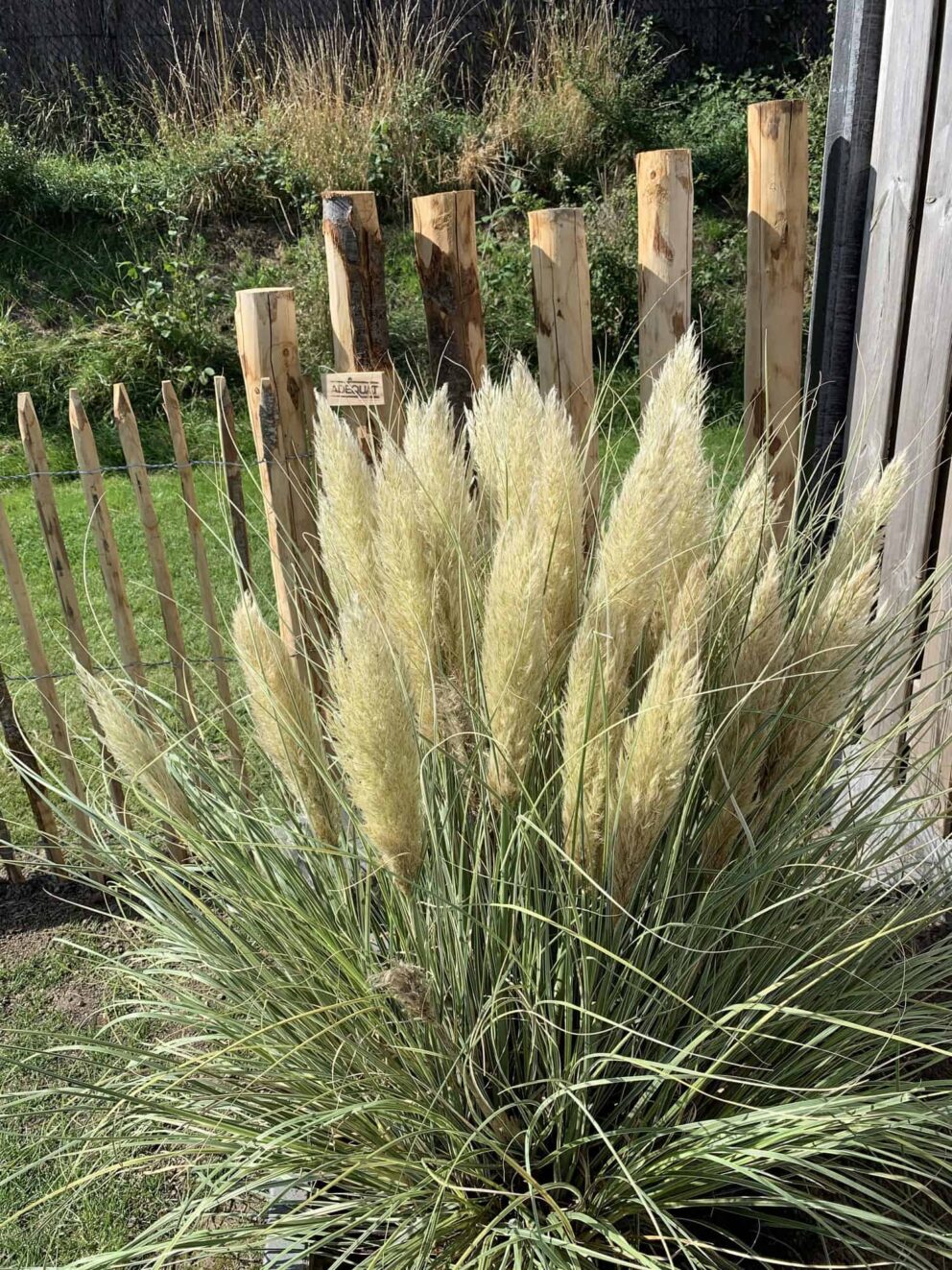 Clôture ganivielle française en bois de châtaignier de 120 cm de hauteur et avec un espacement de 6 cm. entre les lattes.