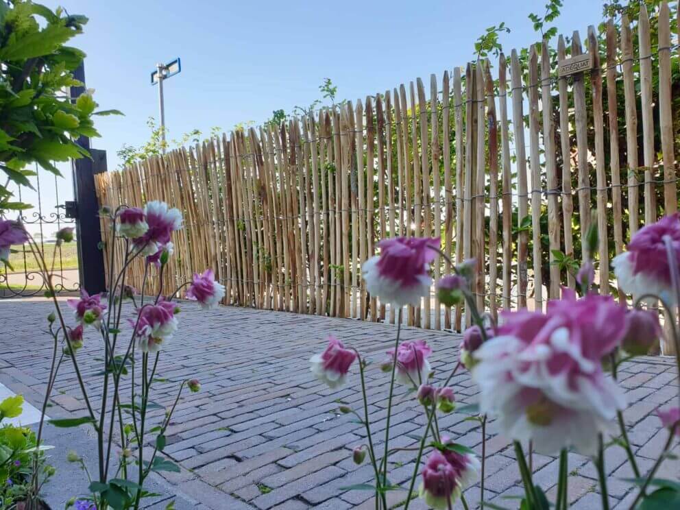 Clôture ganivielle française en bois de châtaignier de 120 cm de hauteur et avec un espacement de 2 cm. entre les lattes.