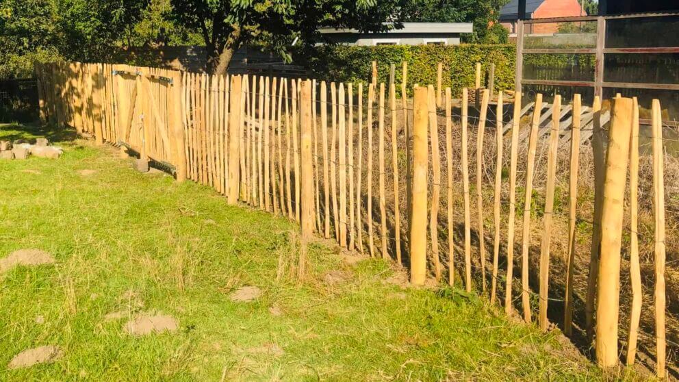 Clôture ganivielle française en bois de châtaignier de 120 cm de hauteur et avec un espacement de 8 cm. entre les lattes.