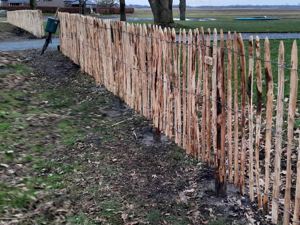 Clôture ganivielle française en bois de châtaignier de 120 cm de hauteur et avec un espacement de 6 cm. entre les lattes.