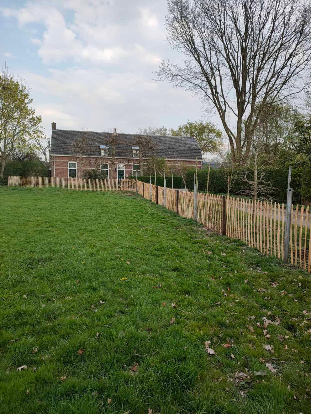 Clôture ganivielle française en bois de châtaignier de 120 cm de hauteur et avec un espacement de 10 cm. entre les lattes.