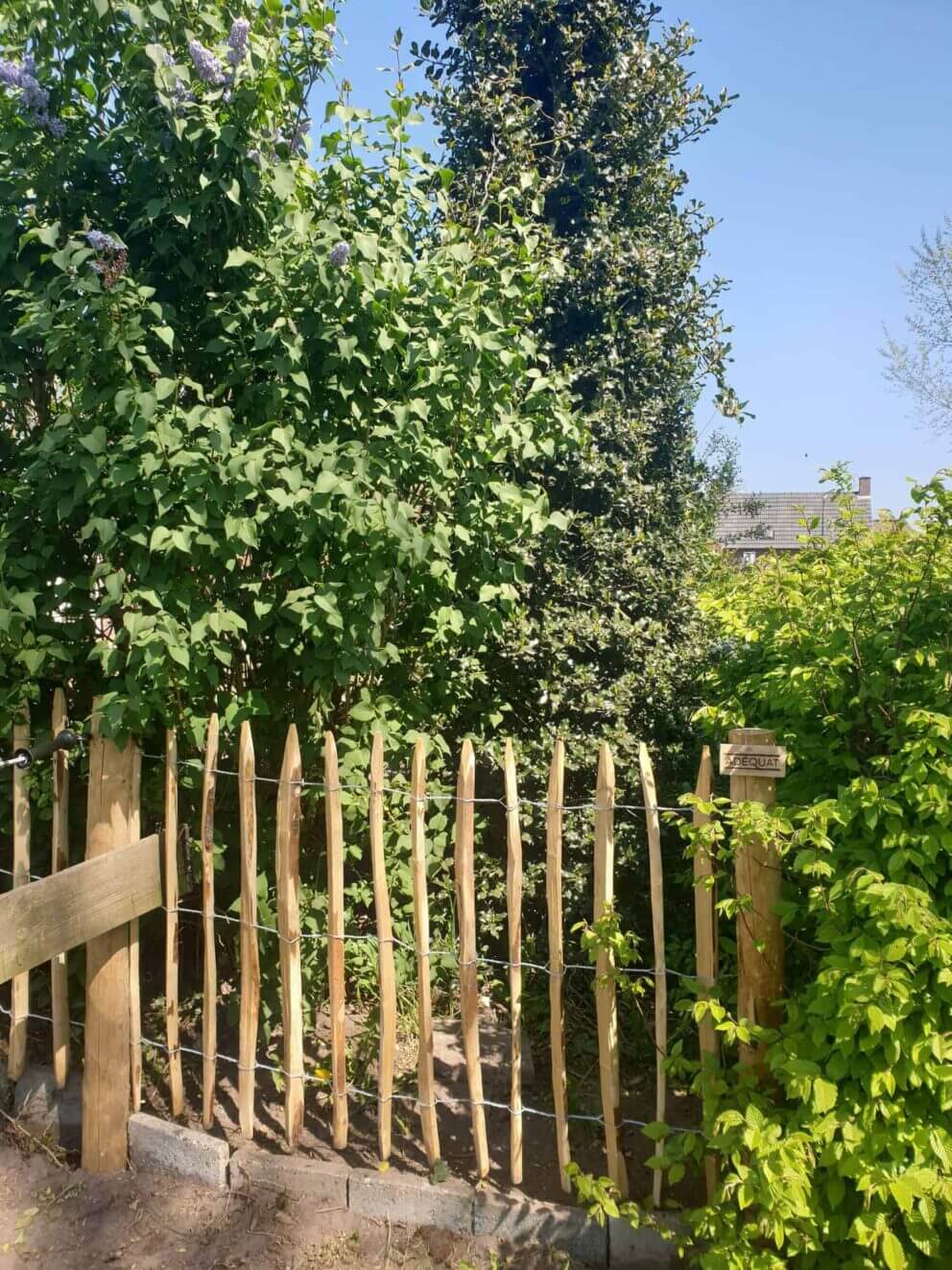 Clôture ganivielle française en bois de châtaignier de 100 cm de hauteur et avec un espacement de 6 cm. entre les lattes.