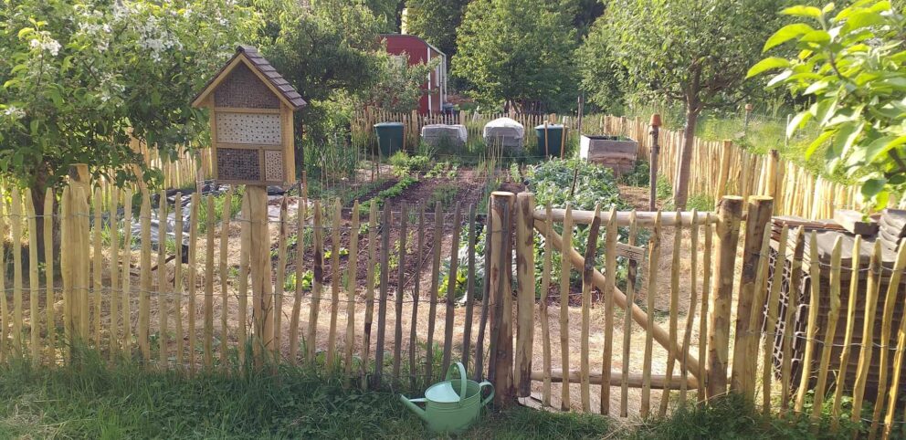 Clôture ganivielle française en bois de châtaignier de 100 cm de hauteur et avec un espacement de 4 cm. entre les lattes.