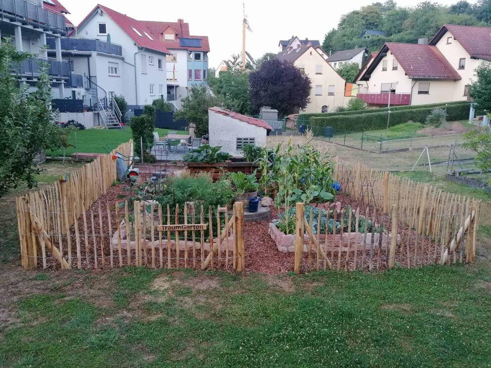 Clôture ganivielle française en bois de châtaignier de 100 cm de hauteur et avec un espacement de 8 cm. entre les lattes.