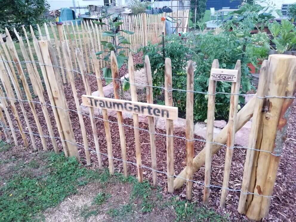 Clôture ganivielle française en bois de châtaignier de 100 cm de hauteur et avec un espacement de 8 cm. entre les lattes.