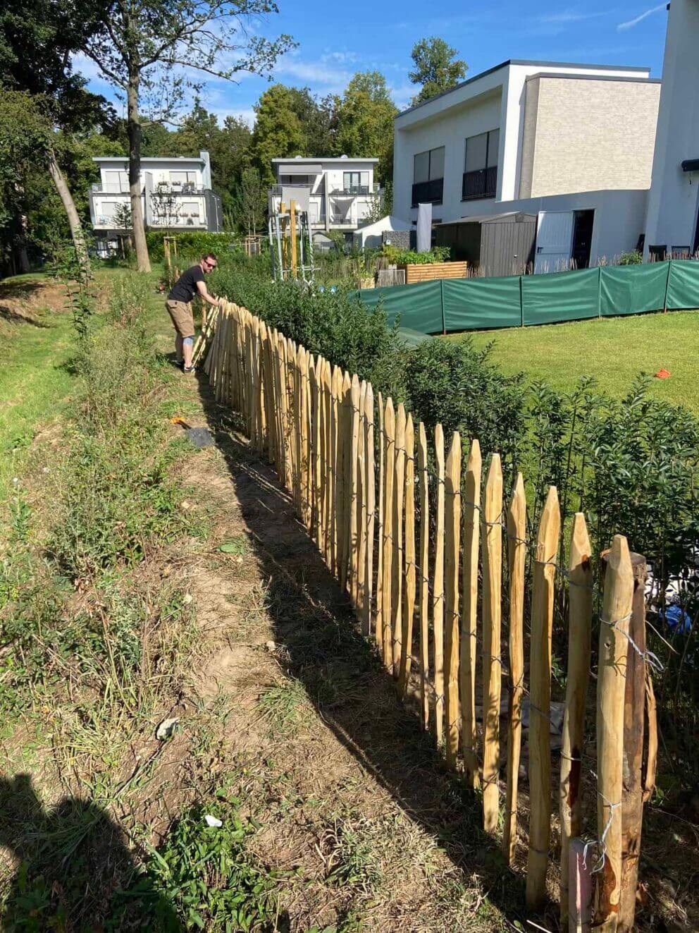 Clôture ganivielle française en bois de châtaignier de 100 cm de hauteur et avec un espacement de 8 cm. entre les lattes.