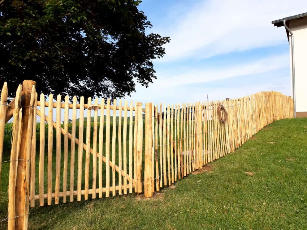 Clôture ganivielle française en bois de châtaignier de 120 cm de hauteur et avec un espacement de 6 cm. entre les lattes.