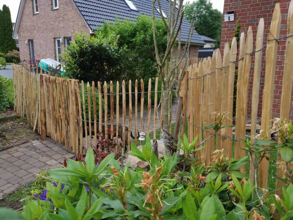 Clôture ganivielle française en bois de châtaignier de 120 cm de hauteur et avec un espacement de 6 cm. entre les lattes.