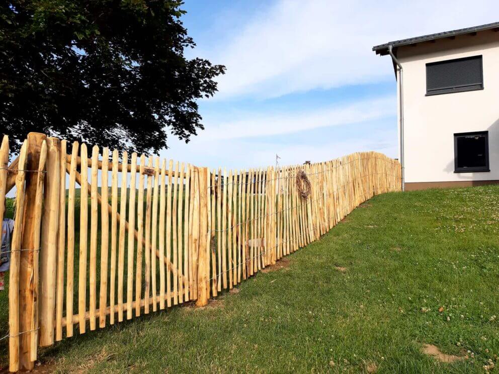 Clôture ganivielle française en bois de châtaignier de 120 cm de hauteur et avec un espacement de 6 cm. entre les lattes.