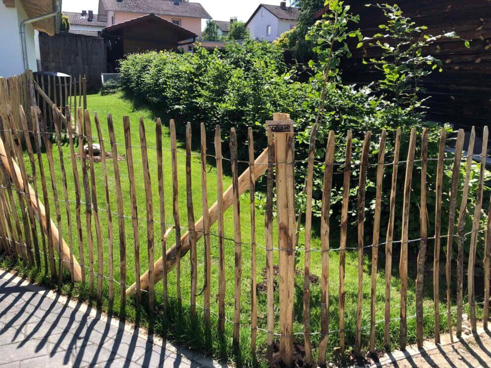 Clôture ganivielle française en bois de châtaignier de 120 cm de hauteur et avec un espacement de 6 cm. entre les lattes.