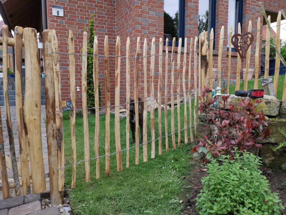 Clôture ganivielle française en bois de châtaignier de 120 cm de hauteur et avec un espacement de 6 cm. entre les lattes.