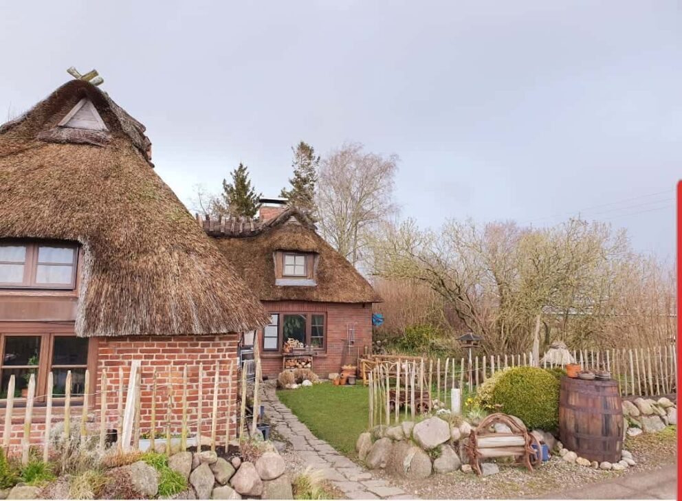 Clôture ganivielle française en bois de châtaignier de 120 cm de hauteur et avec un espacement de 10 cm. entre les lattes.