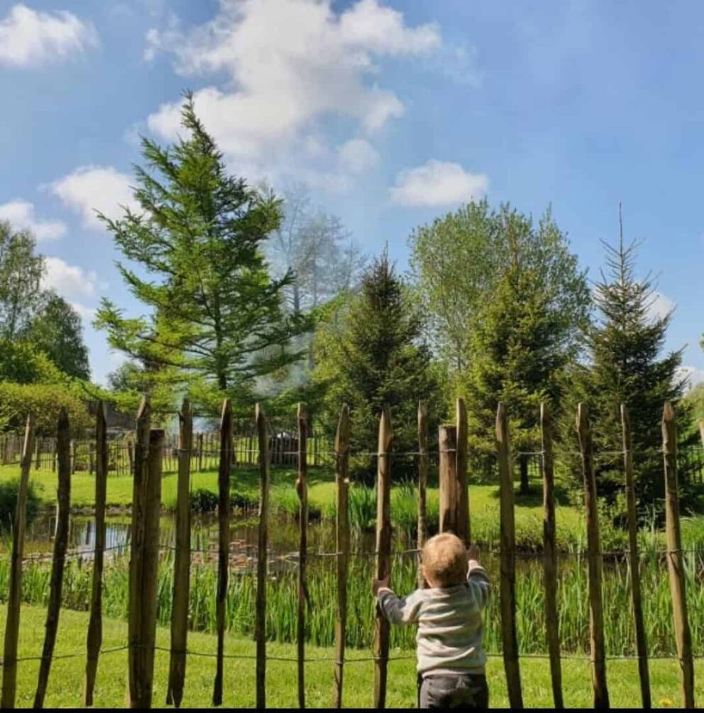 Clôture ganivielle française en bois de châtaignier de 120 cm de hauteur et avec un espacement de 10 cm. entre les lattes.