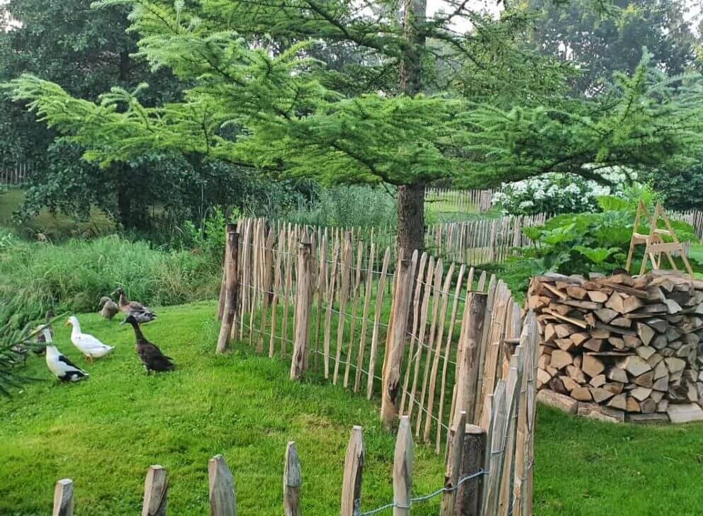 Clôture ganivielle française en bois de châtaignier de 120 cm de hauteur et avec un espacement de 10 cm. entre les lattes.