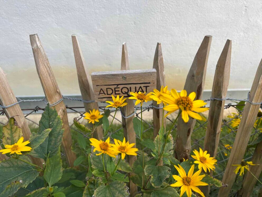 Clôture ganivielle française en bois de châtaignier de 120 cm de hauteur et avec un espacement de 4 cm. entre les lattes.