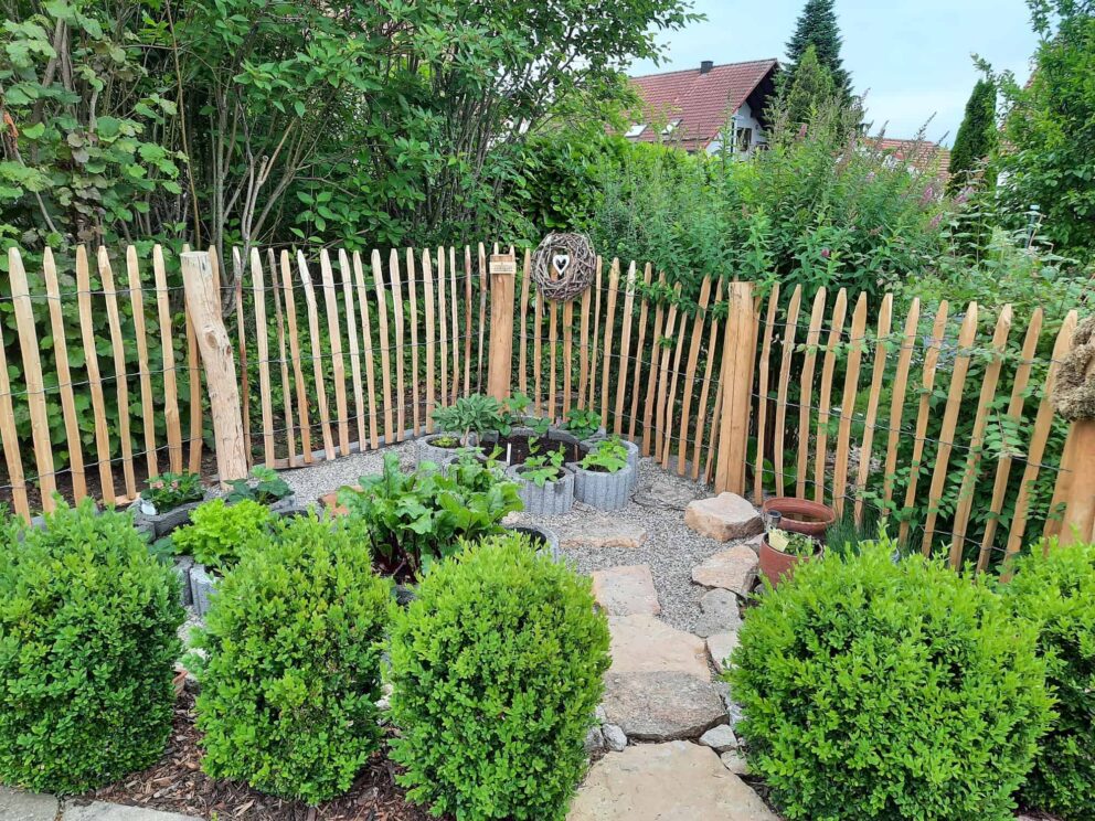 Clôture ganivielle française en bois de châtaignier de 100 cm de hauteur et avec un espacement de 6 cm. entre les lattes.