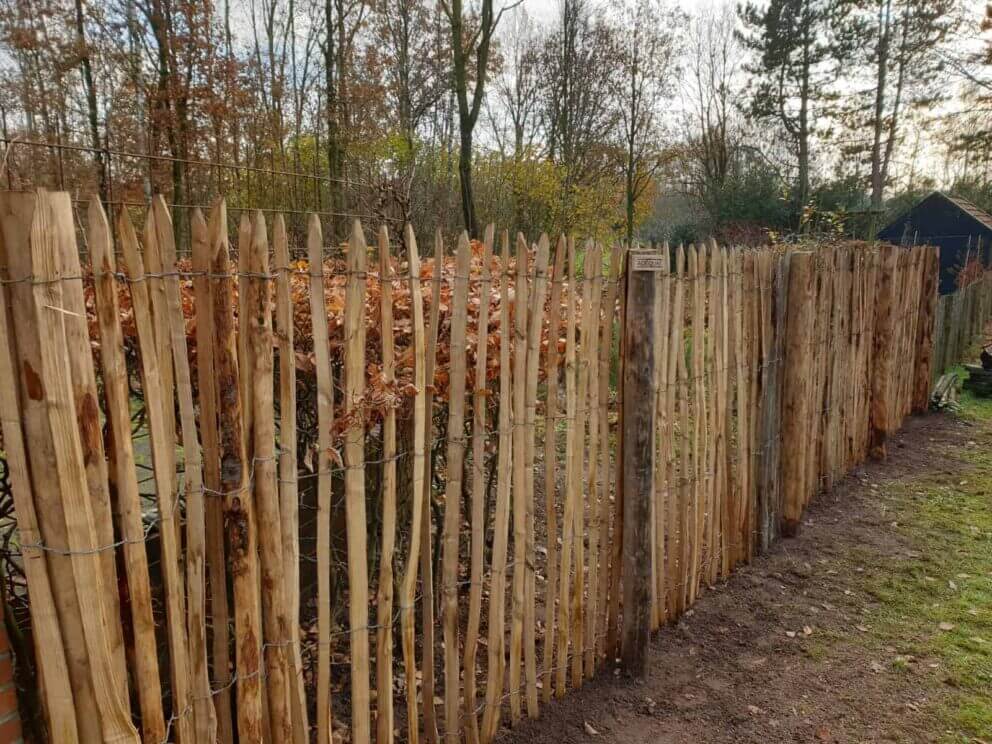 Clôture ganivielle française en bois de châtaignier de 120 cm de hauteur et avec un espacement de 6 cm. entre les lattes.