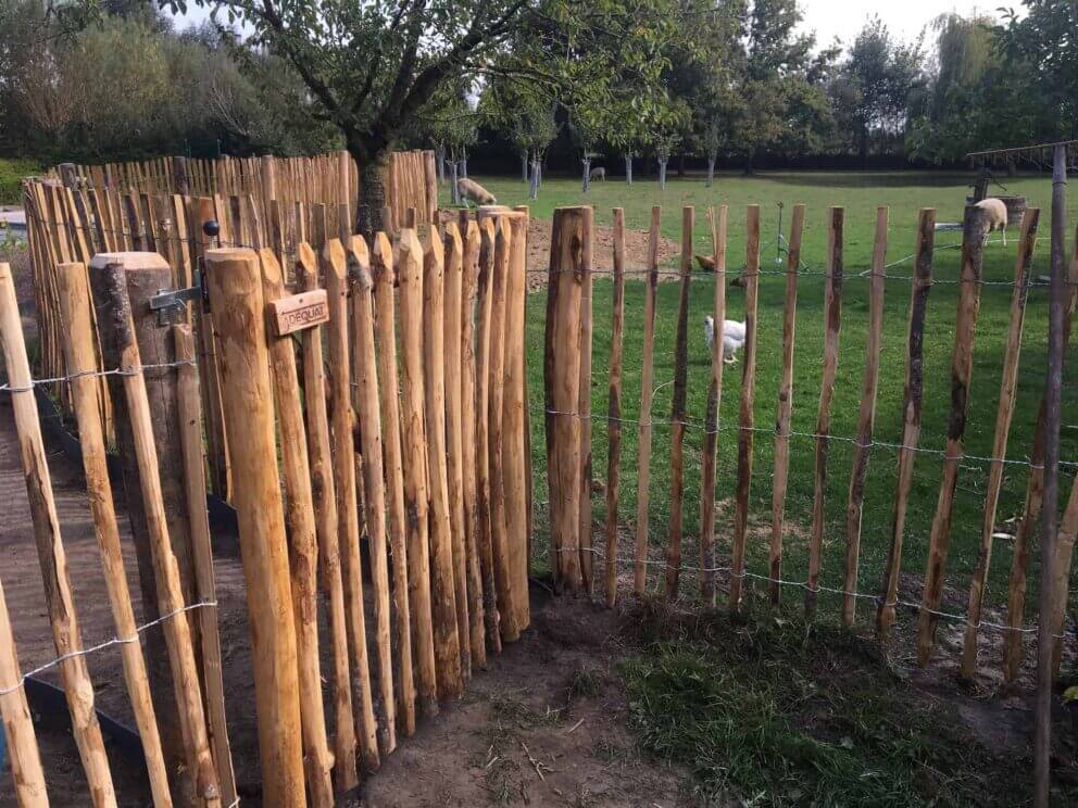 Clôture ganivielle française en bois de châtaignier de 120 cm de hauteur et avec un espacement de 6 cm. entre les lattes.