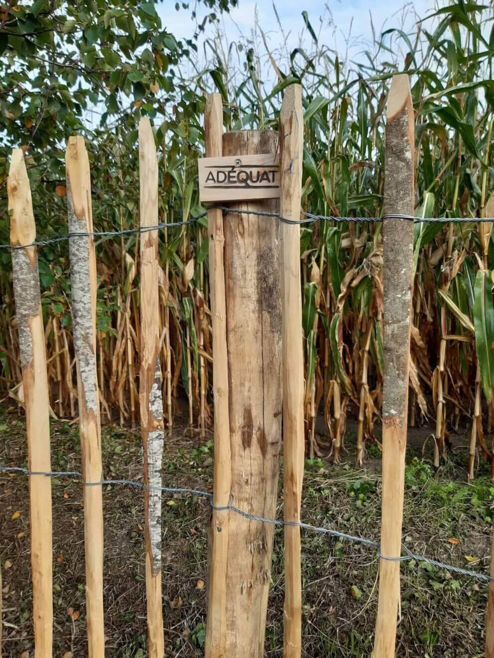 Clôture ganivielle française en bois de châtaignier de 120 cm de hauteur et avec un espacement de 10 cm. entre les lattes.