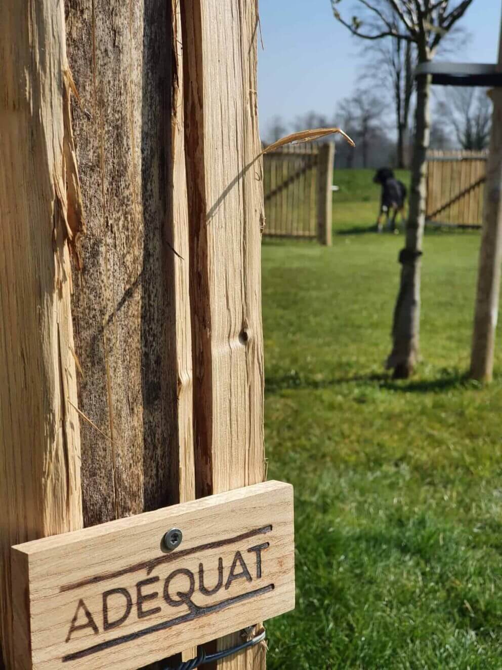 Clôture ganivielle française en bois de châtaignier de 120 cm de hauteur et avec un espacement de 4 cm. entre les lattes.