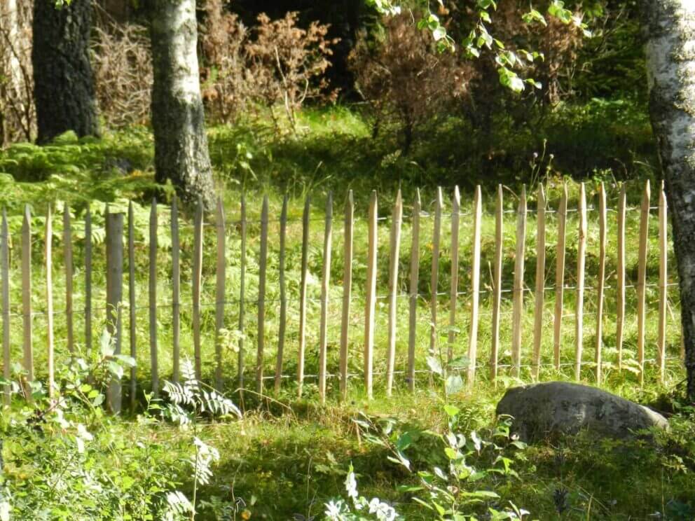 Clôture ganivielle française en bois de châtaignier de 100 cm de hauteur et avec un espacement de 8 cm. entre les lattes.