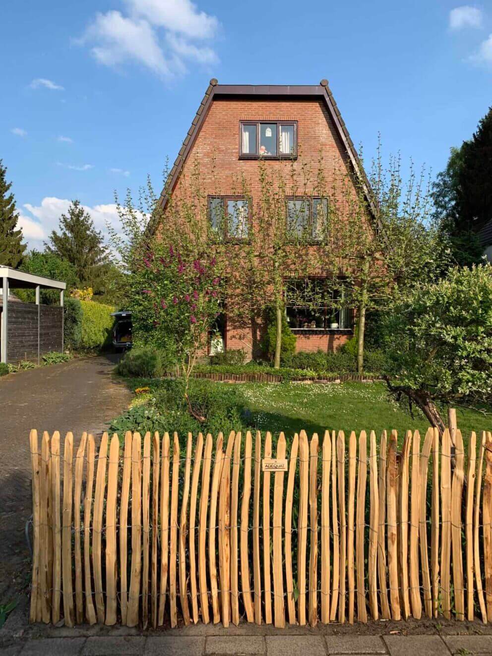 Clôture ganivielle française en bois de châtaignier de 100 cm de hauteur et avec un espacement de 2 cm. entre les lattes.