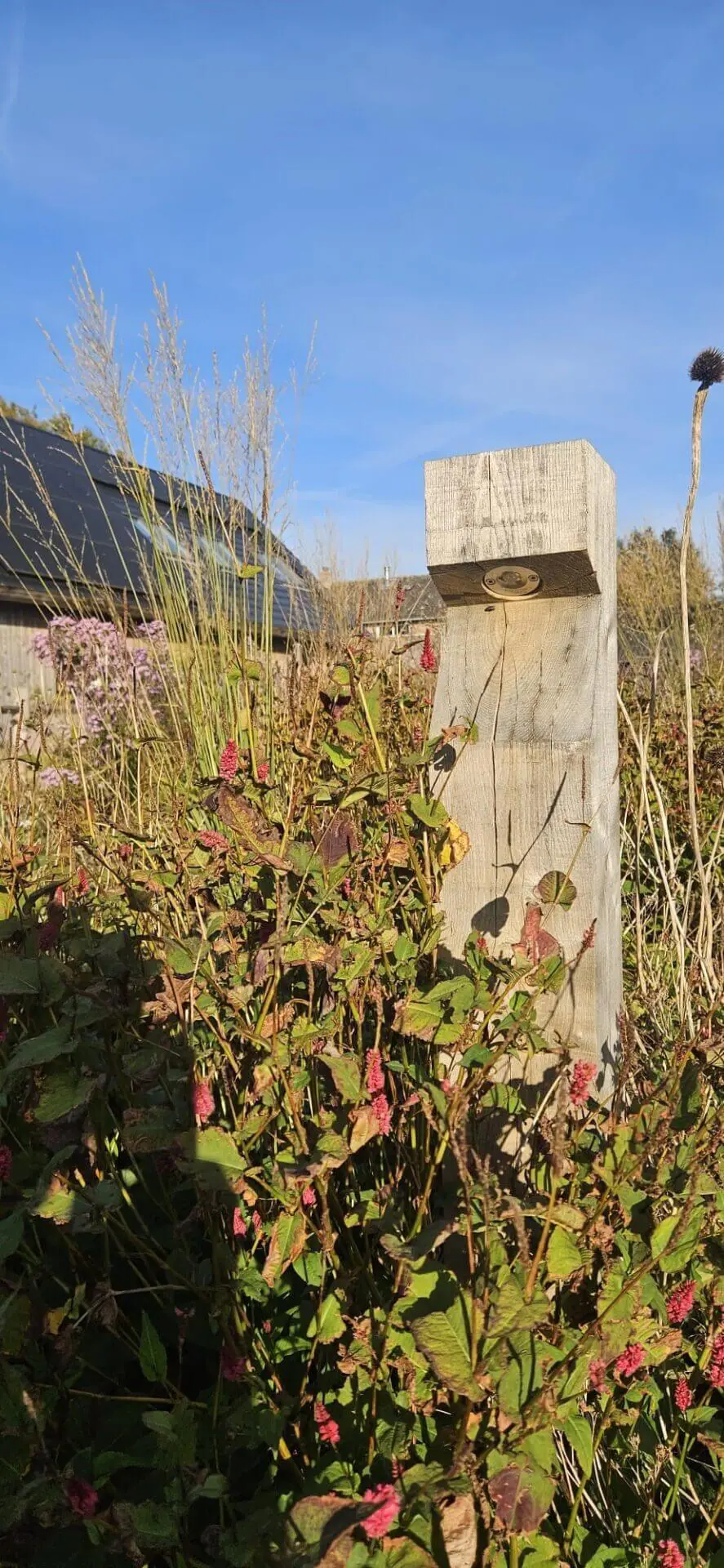 Éclairage extérieur en bois