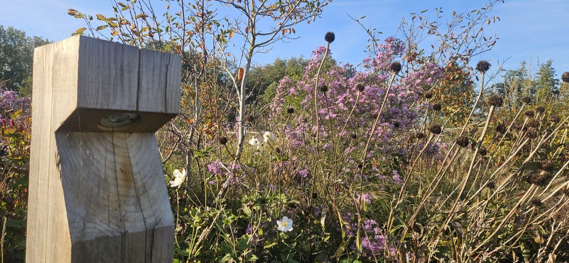 Éclairage extérieur en bois